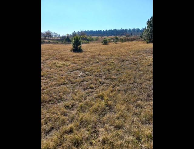 LAND FOR SALE IN RIETFONTEIN